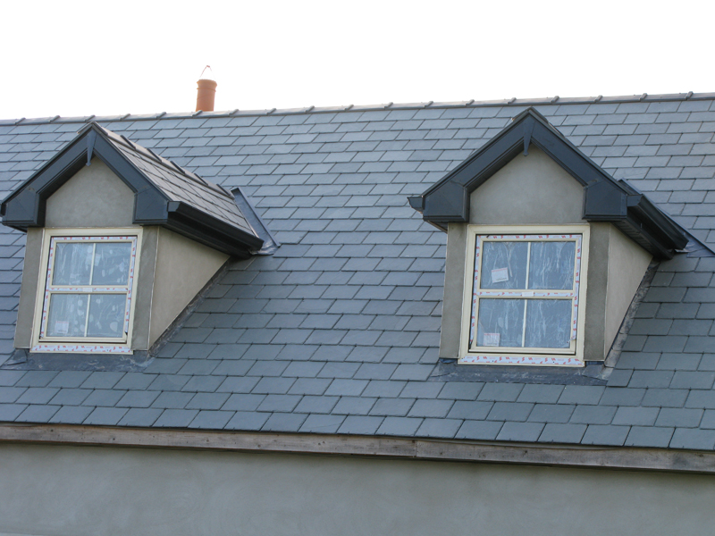 Reference site Roof Contractor Ireland Roof Systems Ireland Roof